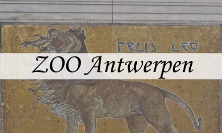 Zoo Antwerpen, een dierentuin in het midden van de stad