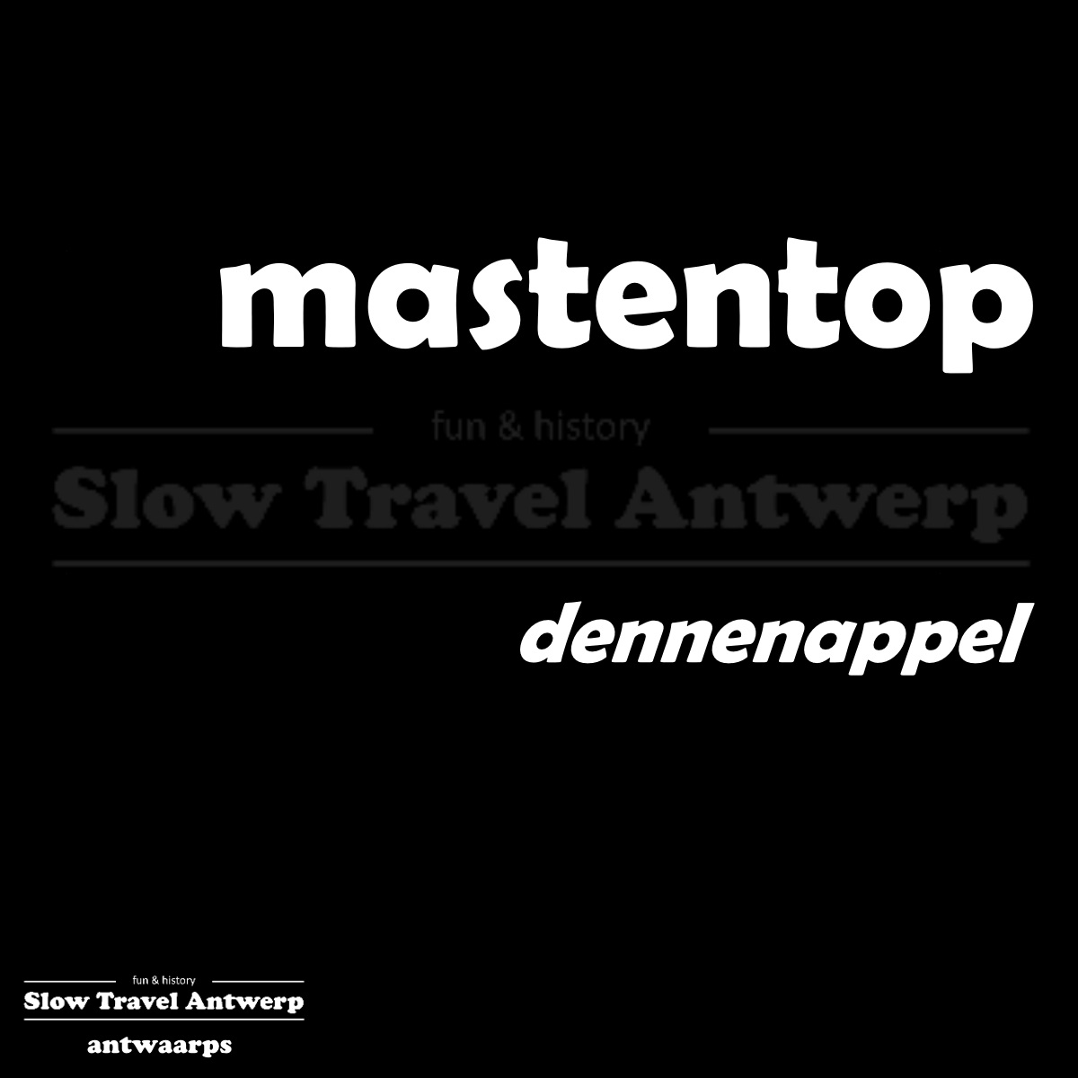 mastentop – dennenappel – pine cone