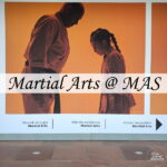 Martial Arts at MAS