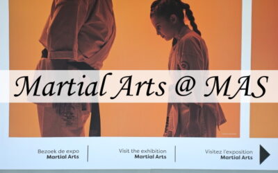 Martial Arts in het MAS